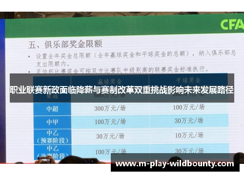 职业联赛新政面临降薪与赛制改革双重挑战影响未来发展路径