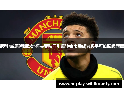 尼科·威廉姆斯欧洲杯决赛破门引爆转会市场成为炙手可热超级新星 尼科·威廉姆斯欧洲杯决赛破门引爆转会市场成为炙手可热超级新星